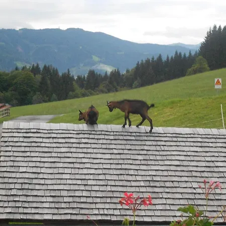 Mairhofer 아파트 *