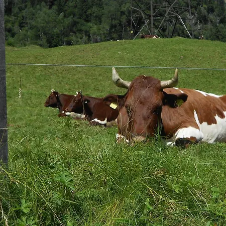 Mairhofer شقة بيشوفشوفن