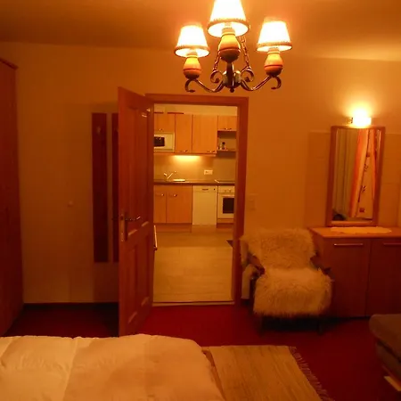 Mairhofer 아파트 비쇼프스호펜