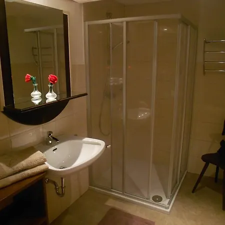 Mairhofer 아파트 비쇼프스호펜