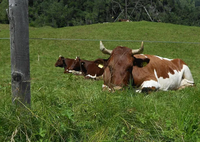 Mairhofer Lägenhet Bischofshofen